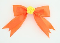 Orange / flower yellow orange flower