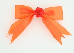 Orange / flower red orange flower