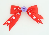 Red / flower purple red flower