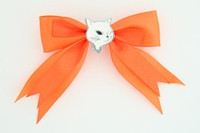 Orange / cat white orange animal