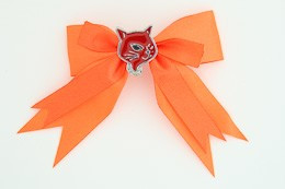 Orange / cat red orange animal