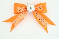 Dot orange / cat white orange animal