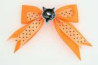 Dot orange / cat black orange animal