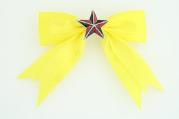 Yellow / star red yellow star