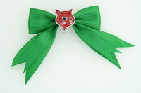 Geen / cat red green animal