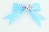 Blue / swallow pink blue animal