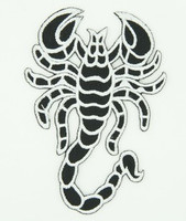 Scorpion white animal extra big