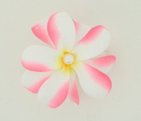 M C pearl white-pink medium flower