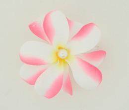 M C pearl white-pink medium flower