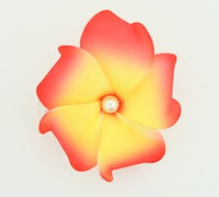 M foam red-yellow medium flower