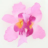 M orchid L purple-D pink medium flower