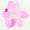 M orchid L purple-D pink medium flower