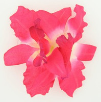 M orchid D pink medium flower