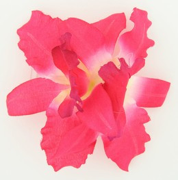 M orchid D pink medium flower