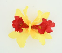 M orchid yellow medium flower