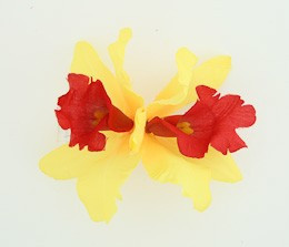 M orchid yellow medium flower