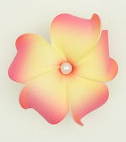 M foam L pink-yellow medium flower
