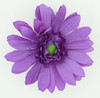 M daisy D purple medium flower