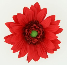 M daisy red medium flower