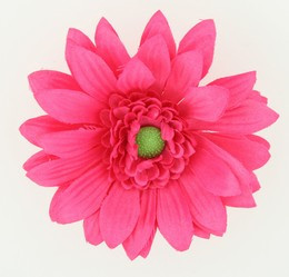 M daisy D pink medium flower