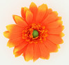 M daisy orange medium flower
