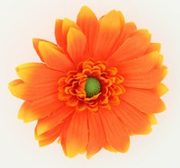M daisy orange medium flower