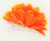 M daisy orange medium flower