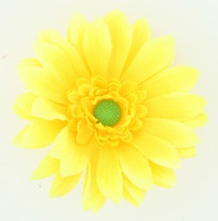 M daisy yellow medium flower