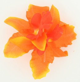 M orchid orange medium flower