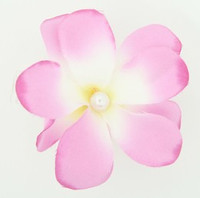 M C pearl L purple medium flower