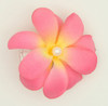 M C pearl L pink-yellow medium flower