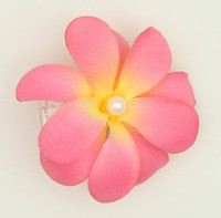 M C pearl L pink-yellow medium flower
