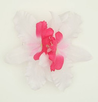 M orchid white-D pink medium flower