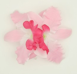 M orchid L pink-D pink medium flower