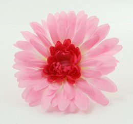 M daisy L-pink medium flower