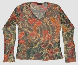 Front - Carper V neck transparent long sleeve top