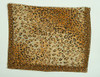 T leopard brown scarf accessory