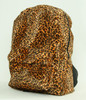 Leopard orange fluffy rucksack