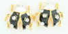 S ladybug black stone stud