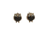 Chubby owl black gold angry crystal eyes - colorful stud earrings