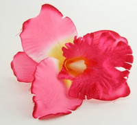 L orchid L-pink big flower