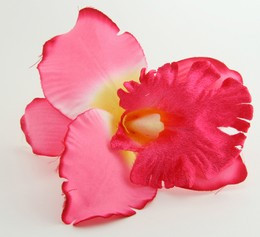 L orchid L-pink big flower