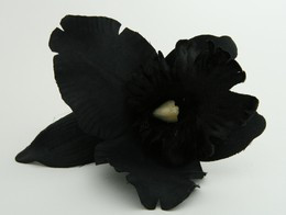 L orchid black big flower