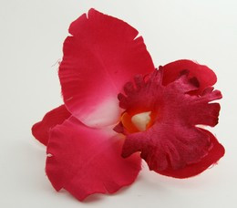 L orchid D-pink big flower