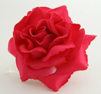 L rose D-pink big flower