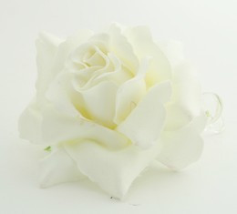 L rose cream big flower