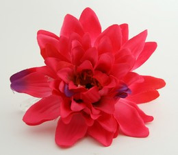 L dalia D-pink big flower