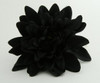 L dalia black big flower