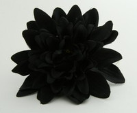 L dalia black big flower