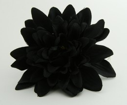 L dalia black big flower